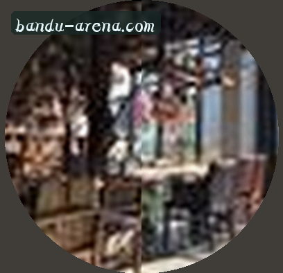 地下赌狗转型分析师